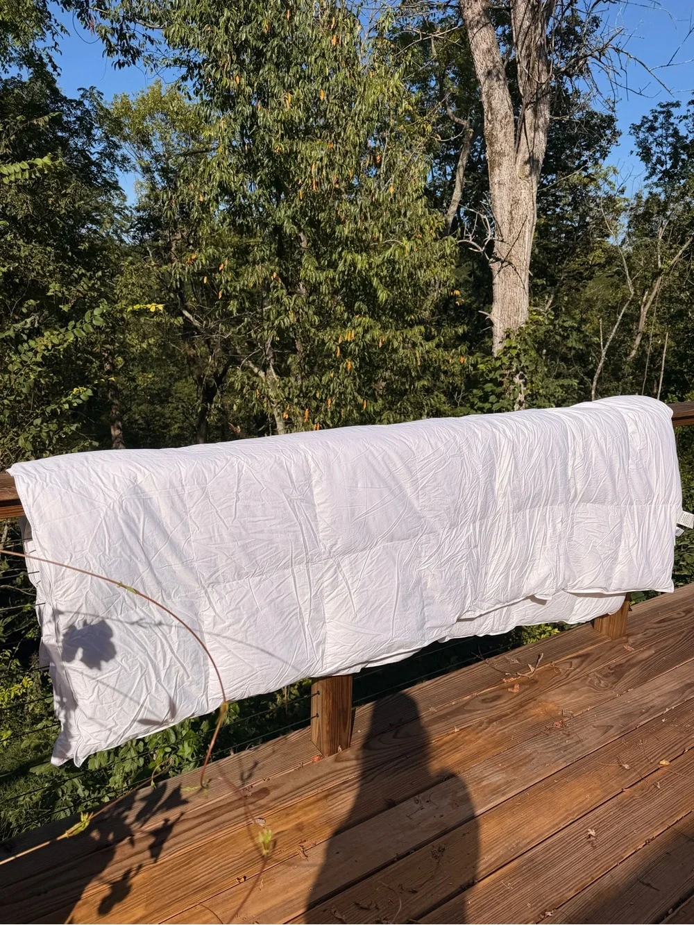 Quince Ultra Warm Winterweight 700 Fill Luxury Down Conforter: KING/CAL KING new